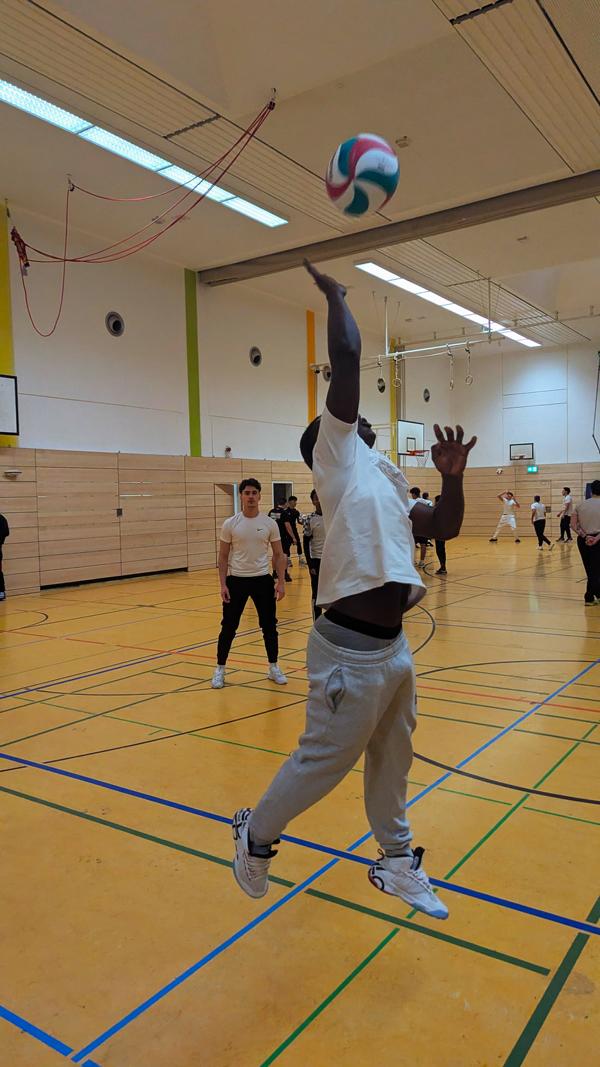 Volley 2026 03